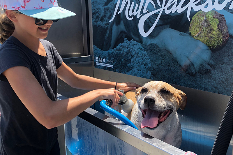 pet wash, dog, girl, child